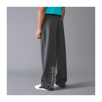 Mercedes AMG Petronas pantaloni de bărbați Relaxed Fit grey F1 Team 2024