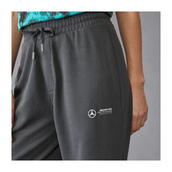 Mercedes AMG Petronas pantaloni de bărbați Relaxed Fit grey F1 Team 2024