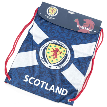 Echipa națională de fotbal sac de sală Scottish FA