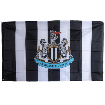 Newcastle United drapel Striped