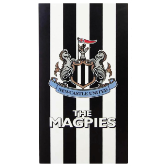 Newcastle United prosop striped design