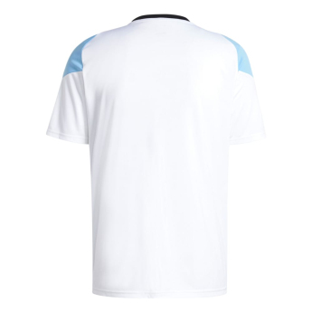 Lionel Messi tricou de fotbal Arg colour