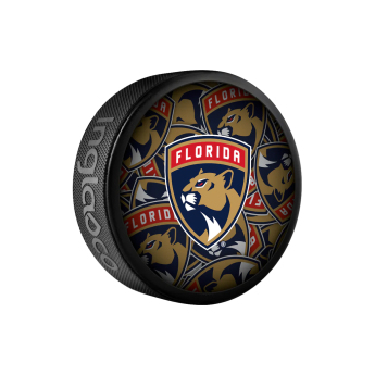 Florida Panthers puc Clone 2022 Souvenir Collector Hockey