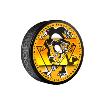 Pittsburgh Penguins puc Medallion Souvenir Collector