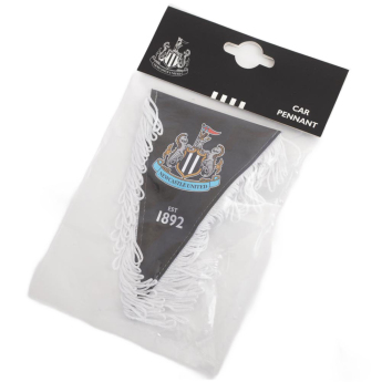 Newcastle United steag Triangular Mini