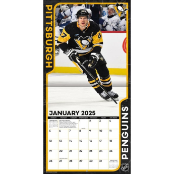 Pittsburgh Penguins calendar Sidney Crosby #87 2025 Wall Calendar